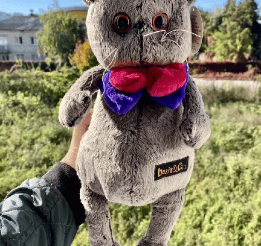 Кот Басик Джентельмен и кошечка Лили. Кот Басик с бабочкой. 35 см 2