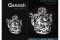 Защитное стекло Ganesh (Full Cover) для Apple iPhone 15 Pro Max (6.7)