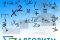 mathematics-757566